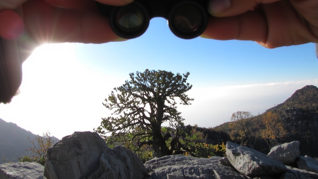binoculars ensure safe scouting
