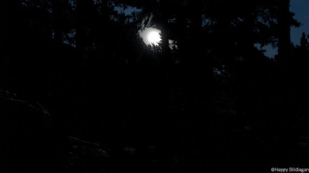 darkness optimizes night vision