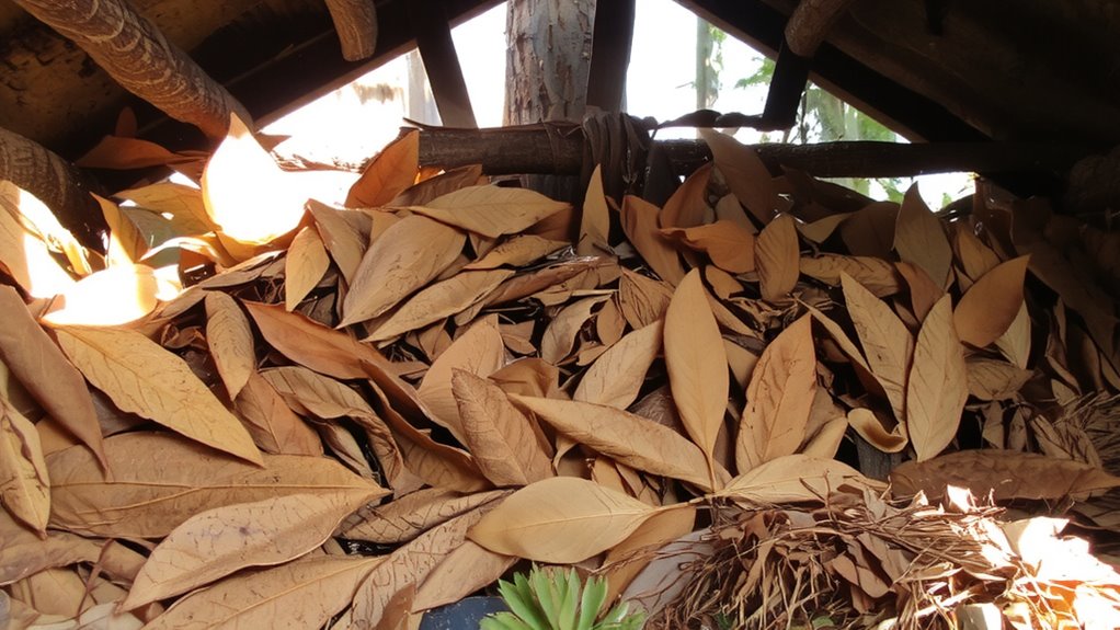 dry crisp leaves insulate best
