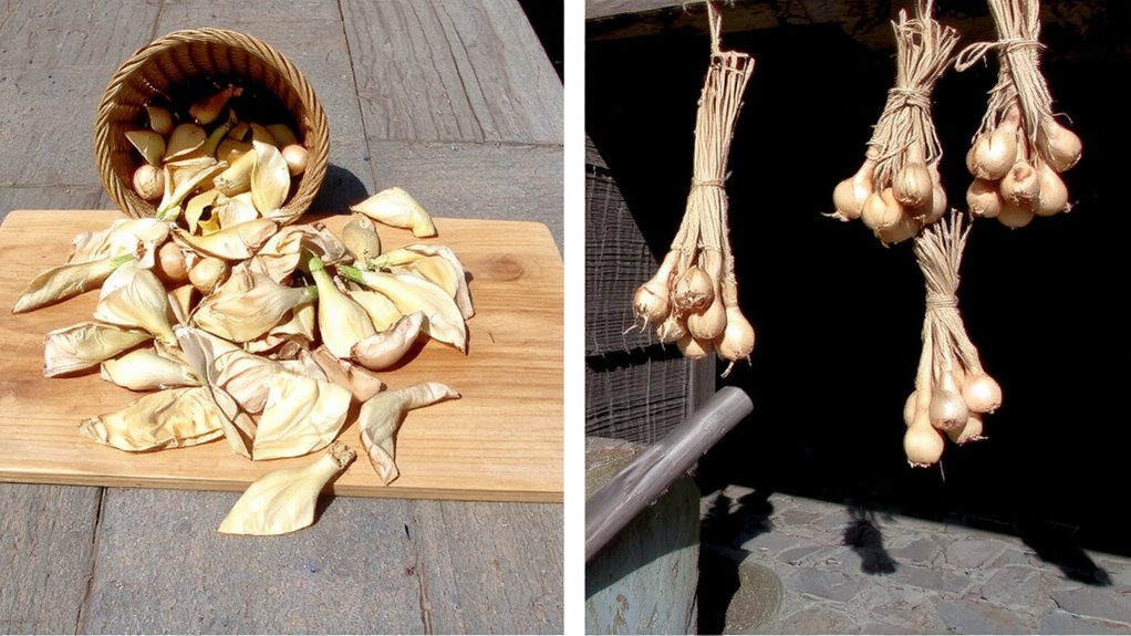 low temperature uniform airflow optimized drying