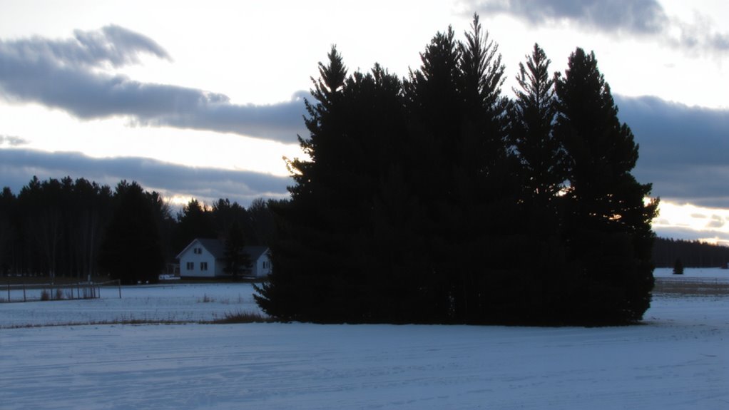 position for prevailing wind