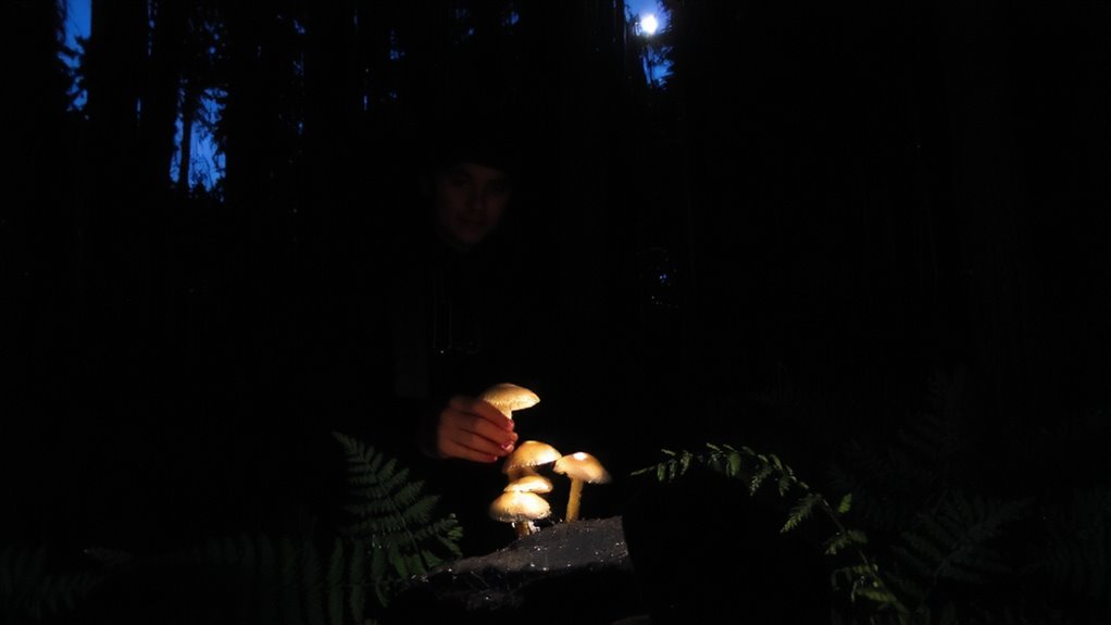 preserve night vision with red light