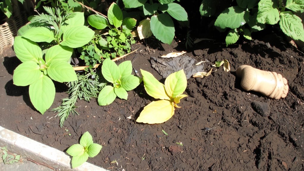 preserve soil with smart steps